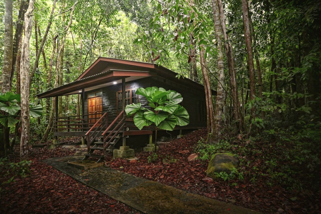 Permai Rainforest Resort by null