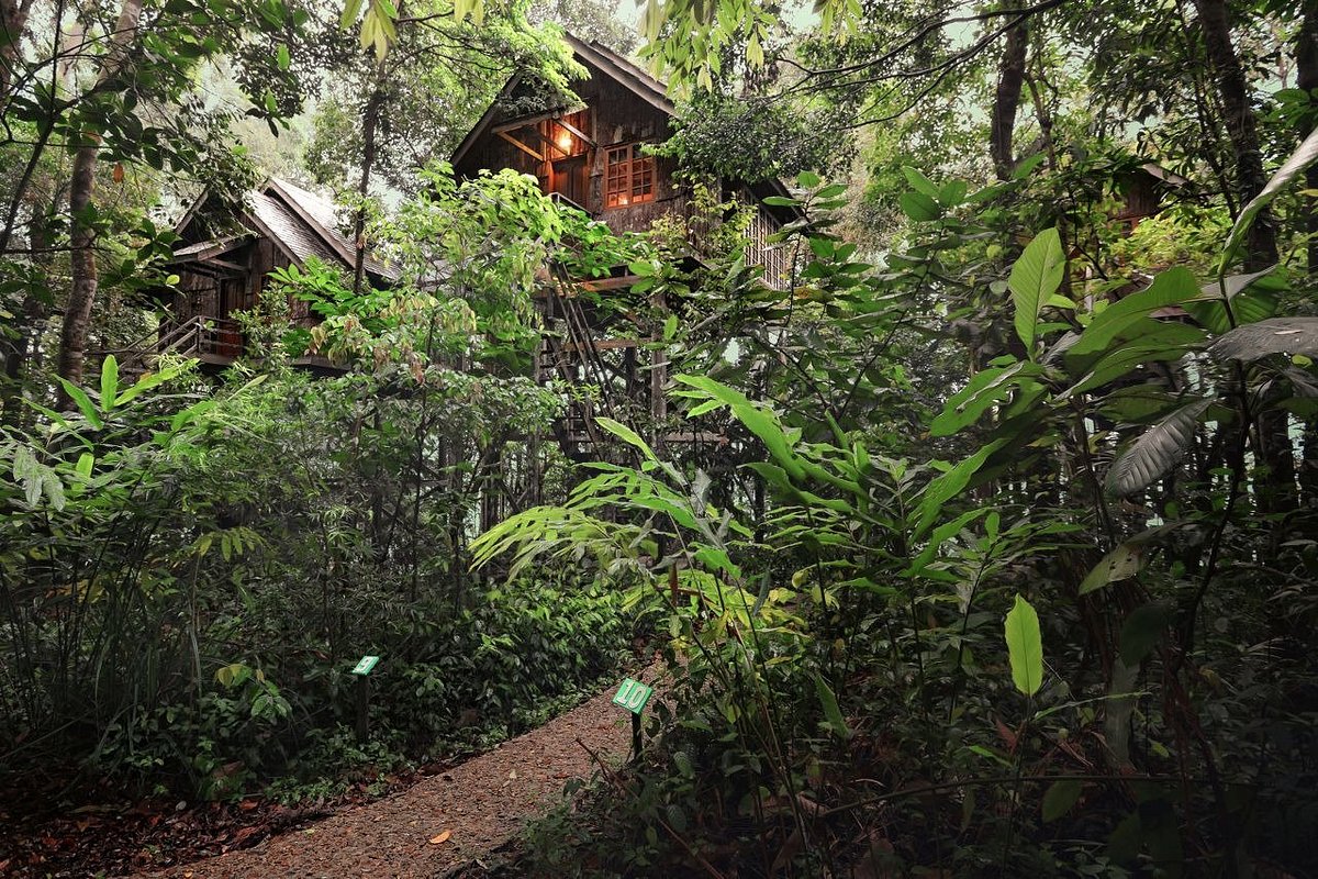 西双版纳安纳塔拉，热带雨林中长出的度假酒店，让人一眼就爱上-搜狐大视野-搜狐新闻