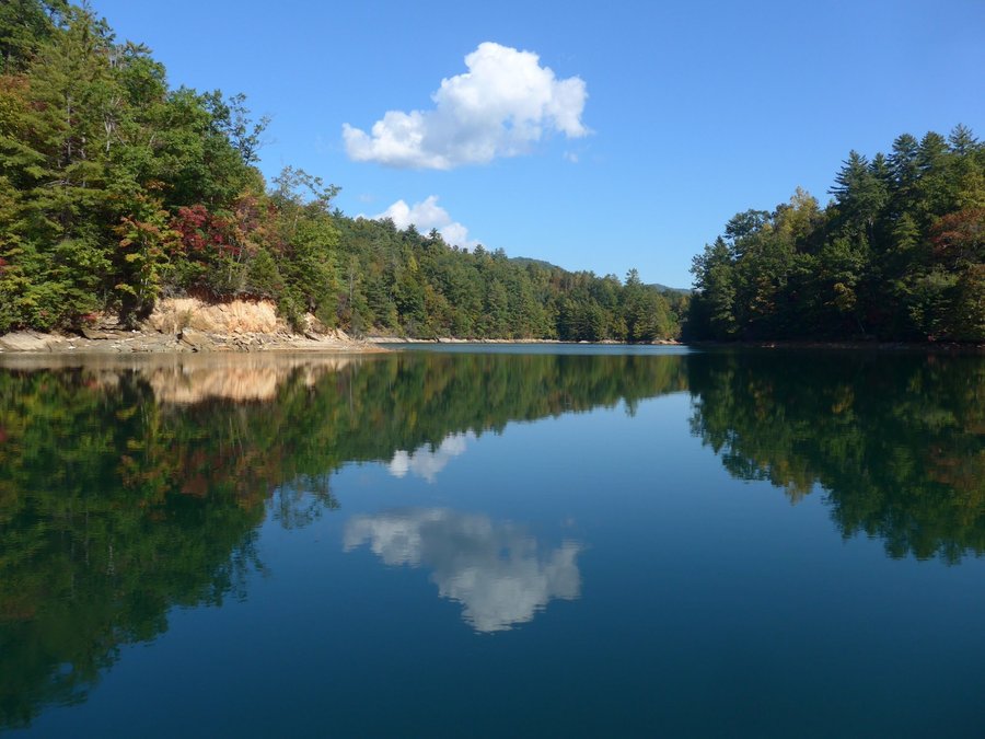 Escape to the Enchanting Wilderness: South Carolina's Devils Fork State Park