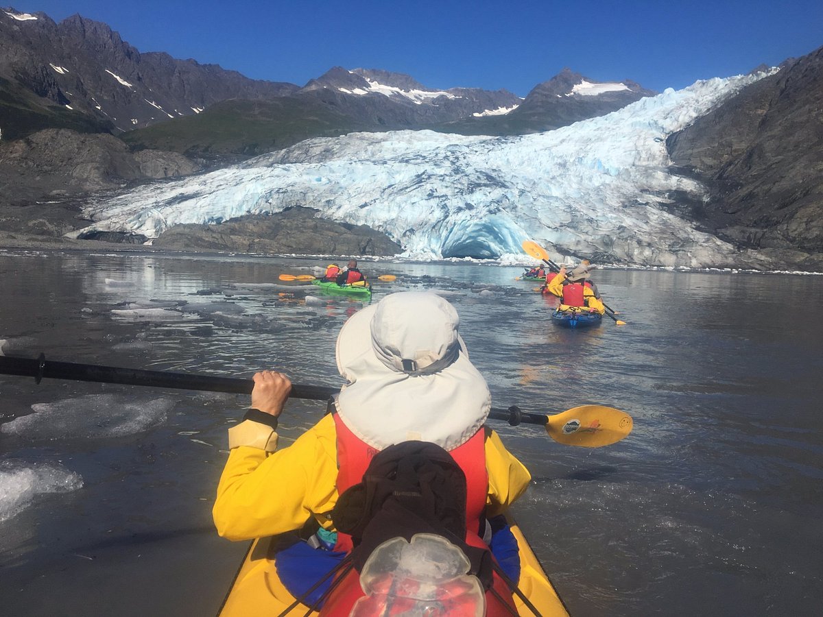 get up and go alaska tours