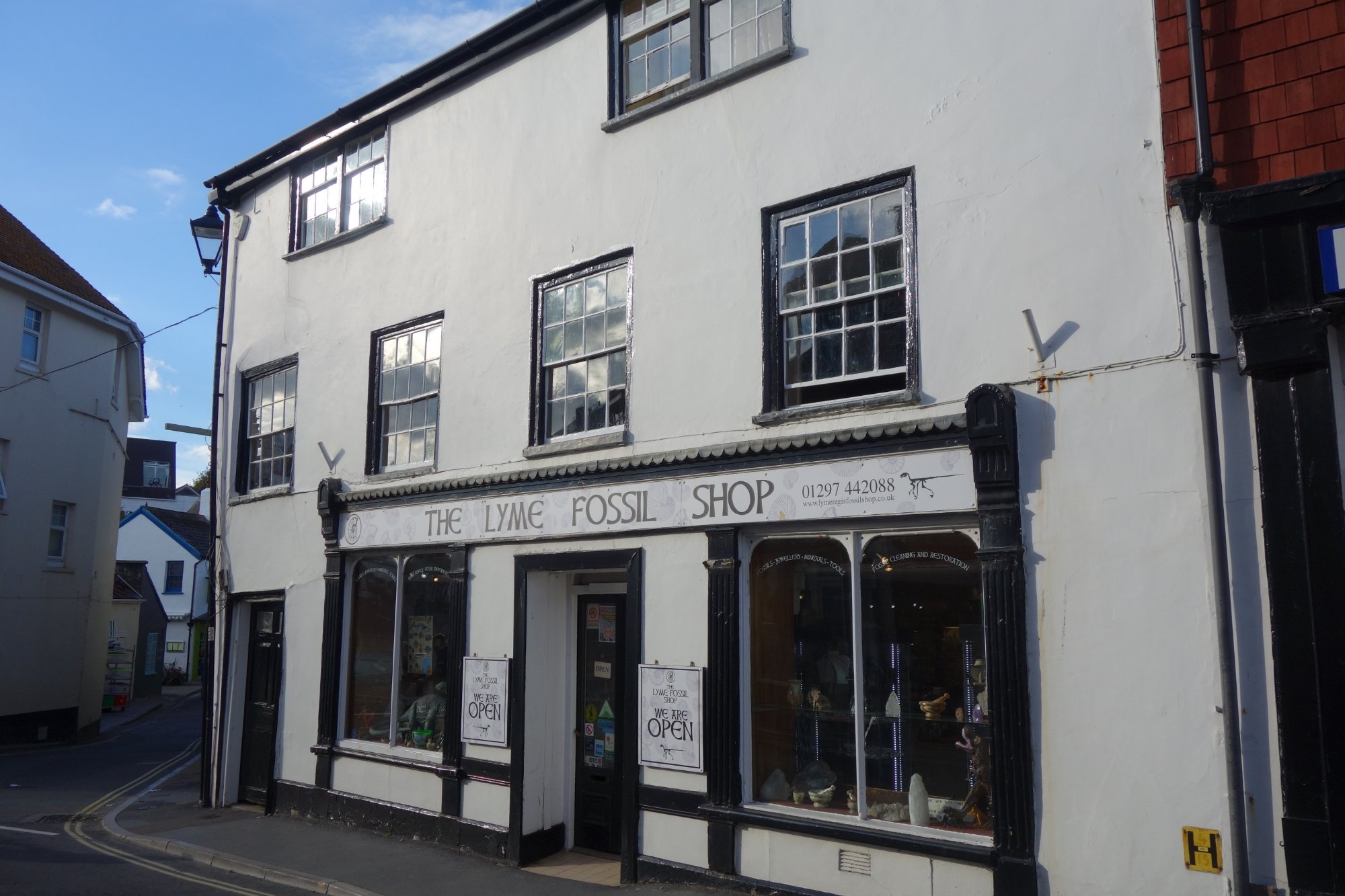 LYME REGIS FOSSIL SHOP All You Need to Know BEFORE You Go with