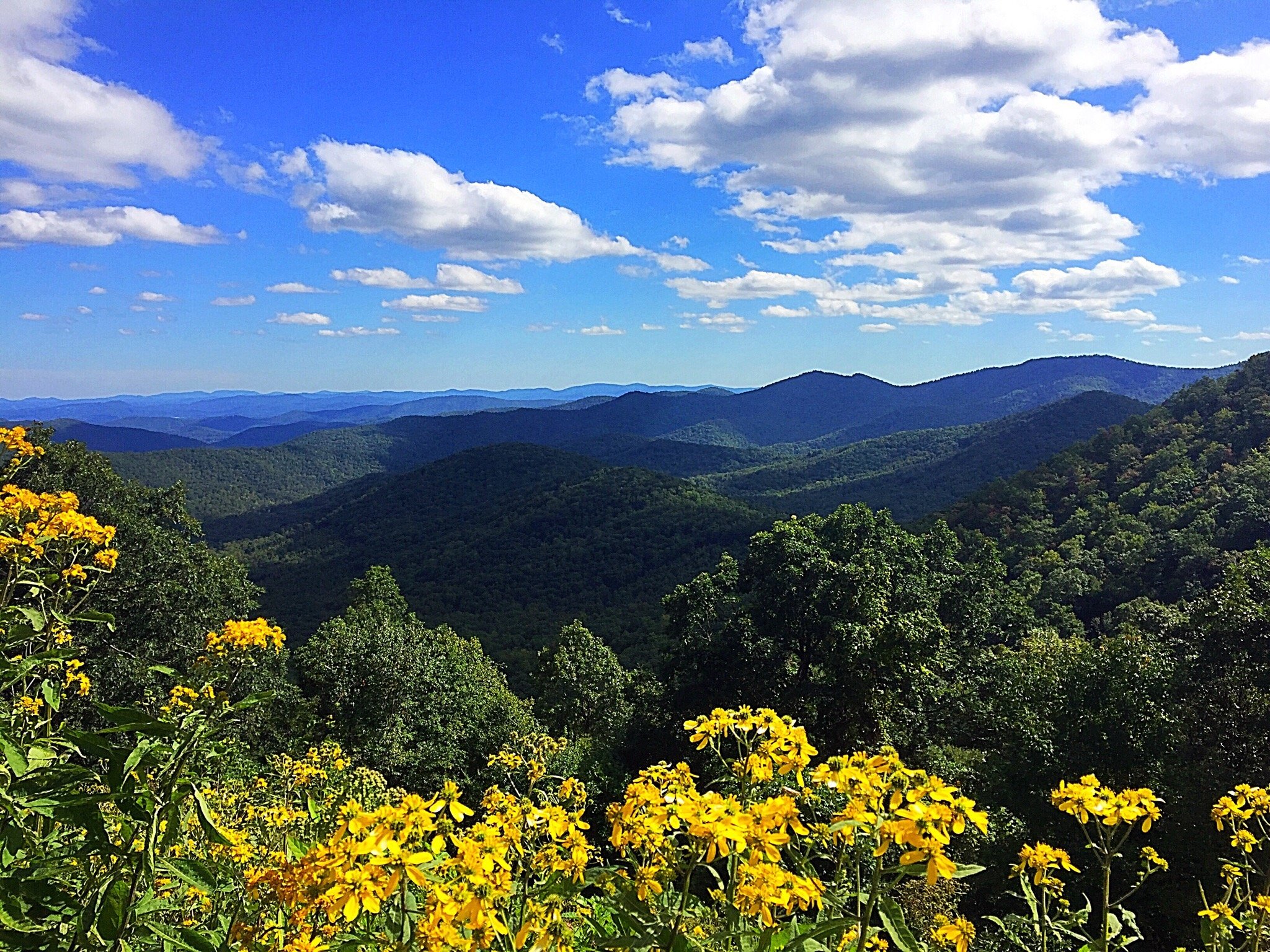 THE 15 BEST Things to Do in North Carolina 2024 with Photos