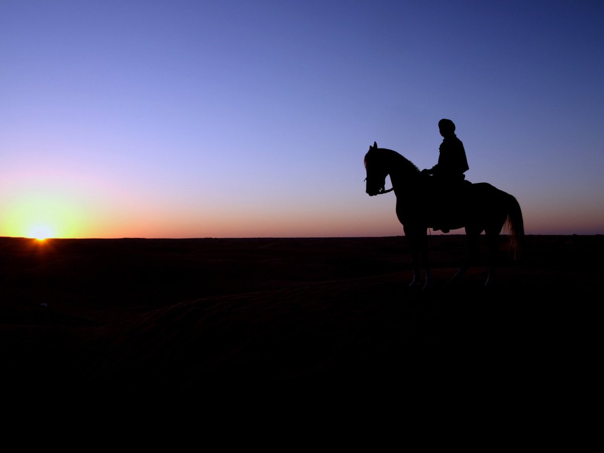 Babu Desert Safari - All You Need to Know BEFORE You Go (2024)