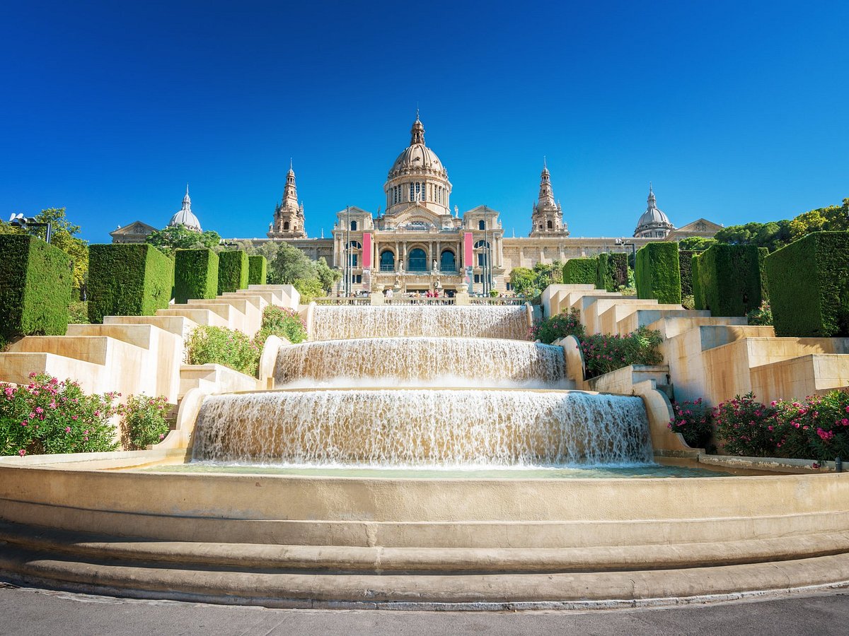 barcelona day tours reviews