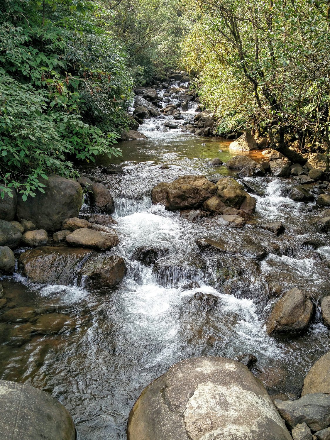 maharashtra tourism guest house bhimashankar