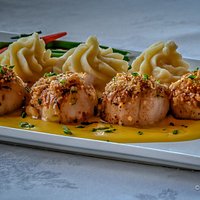 Scallops