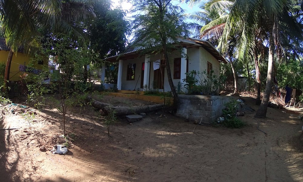 Sante House Guest House Reviews Sri Lanka Arugam Bay Tripadvisor