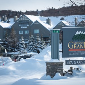 Killington Grand Resort Hotel in Killington, image may contain: Woodland, Land, Vegetation, Grove
