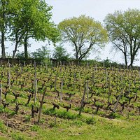 Parcelle "La Source" du Domaine de Chastelet
