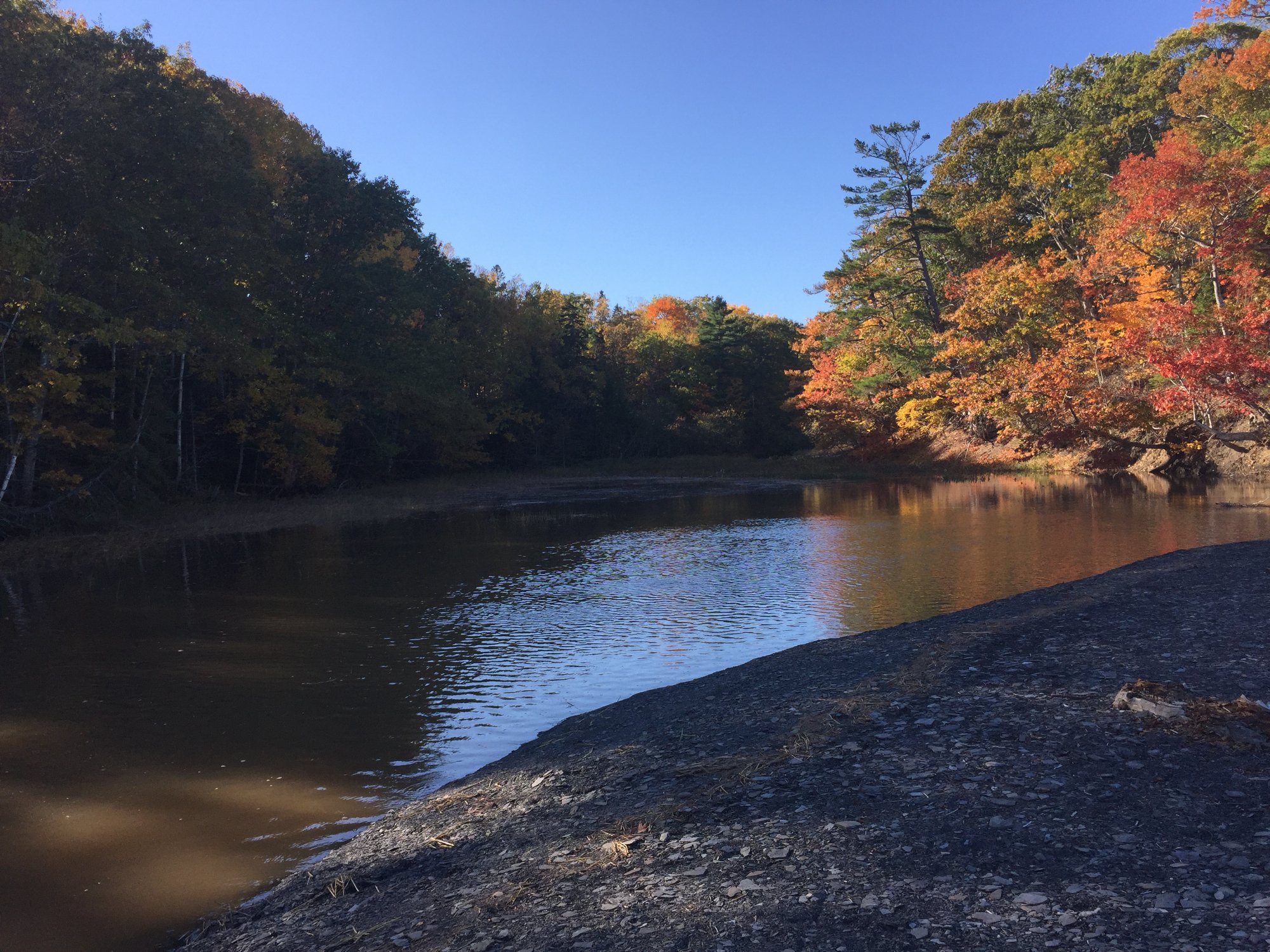 THE 10 BEST Nova Scotia Beaches Updated 2024 Tripadvisor   Blue Beach In Autumn 