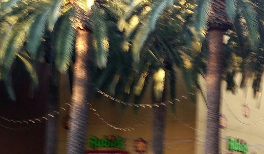 Rubio's Coastal Grill