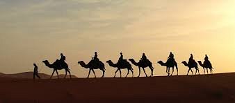 camel safari bikaner