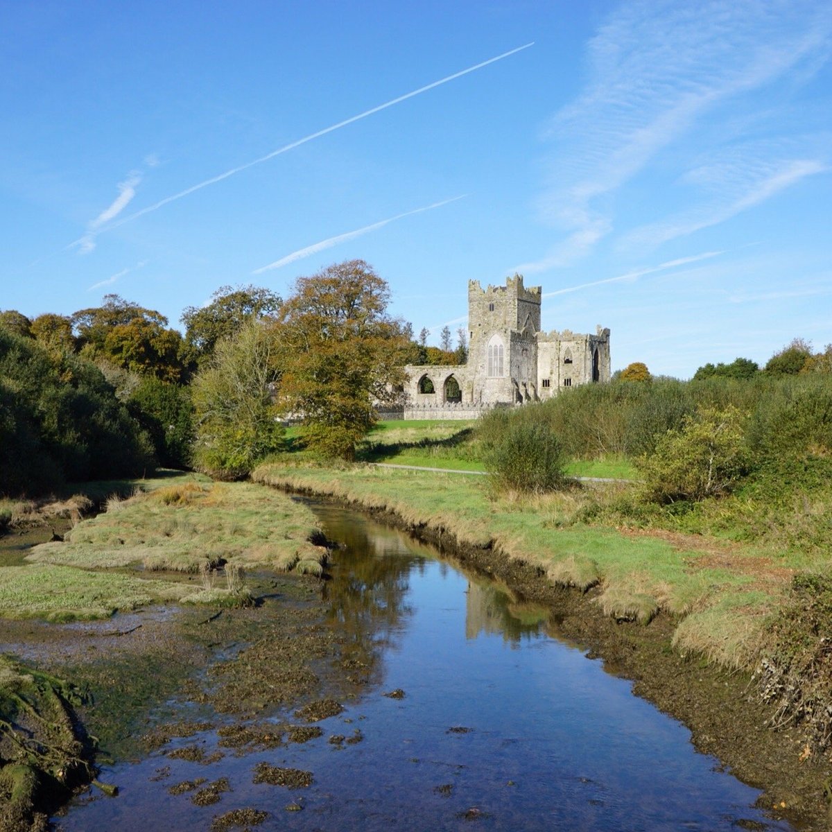 TINTERN ABBEY (Wexford) - All You Need to Know BEFORE You Go