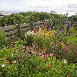 isle of shoals garden tour