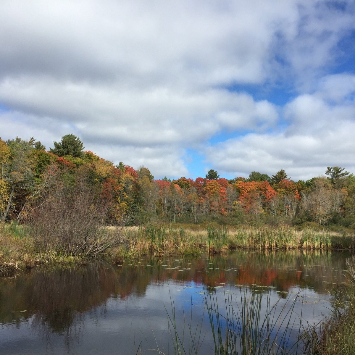 Sturgeon Bay Provincial Park (Pointe au Baril) - All You Need to Know ...