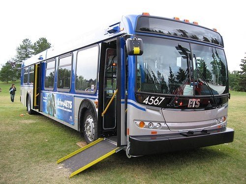 are dogs allowed on edmonton transit