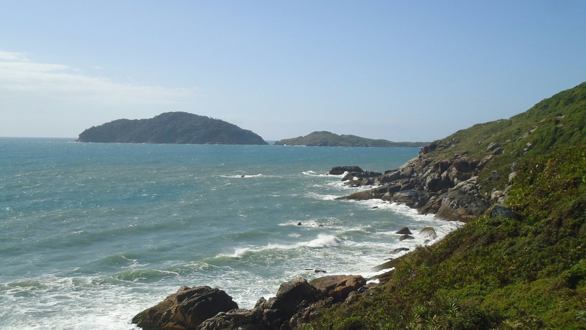 As melhores trilhas em Ingleses do Rio Vermelho, Santa Catarina (Brasil)