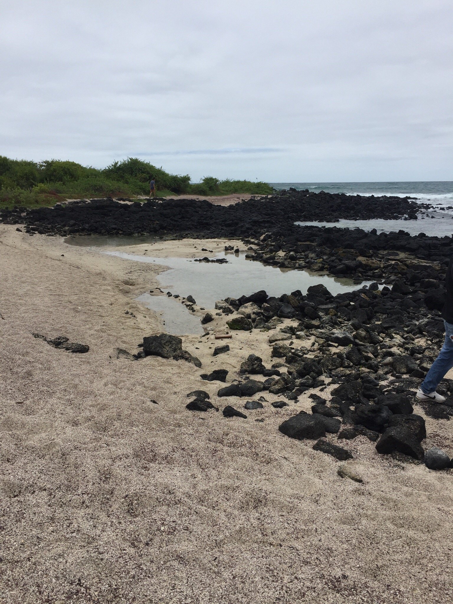 Santa Cruz Island Everything to Know BEFORE You Go with Photos