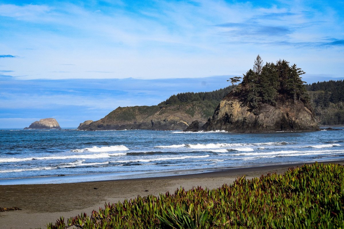 are dogs allowed at trinidad state beach