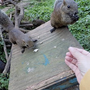 21年 町田市で絶対外さないおすすめ観光スポットトップ10 定番から穴場まで トリップアドバイザー