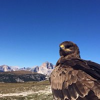Il Regno Di Thor