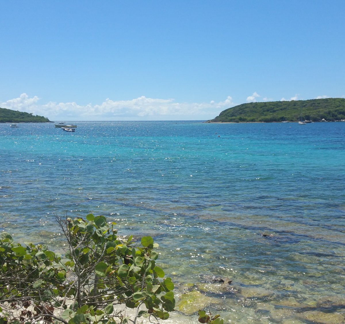 Vieques Island, Остров Вьекес: лучшие советы перед посещением - Tripadvisor