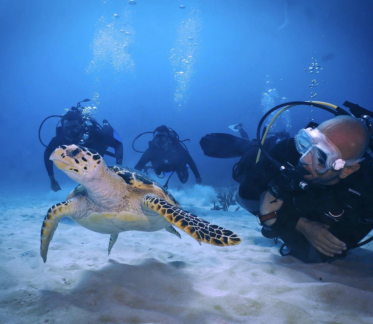 Scuba Planet Mexico (Playa del Carmen) - All You Need to Know BEFORE You Go