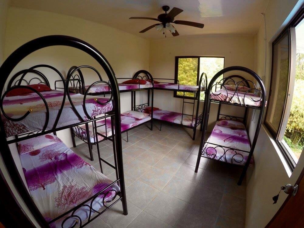 Fat Monkey Hostel by null