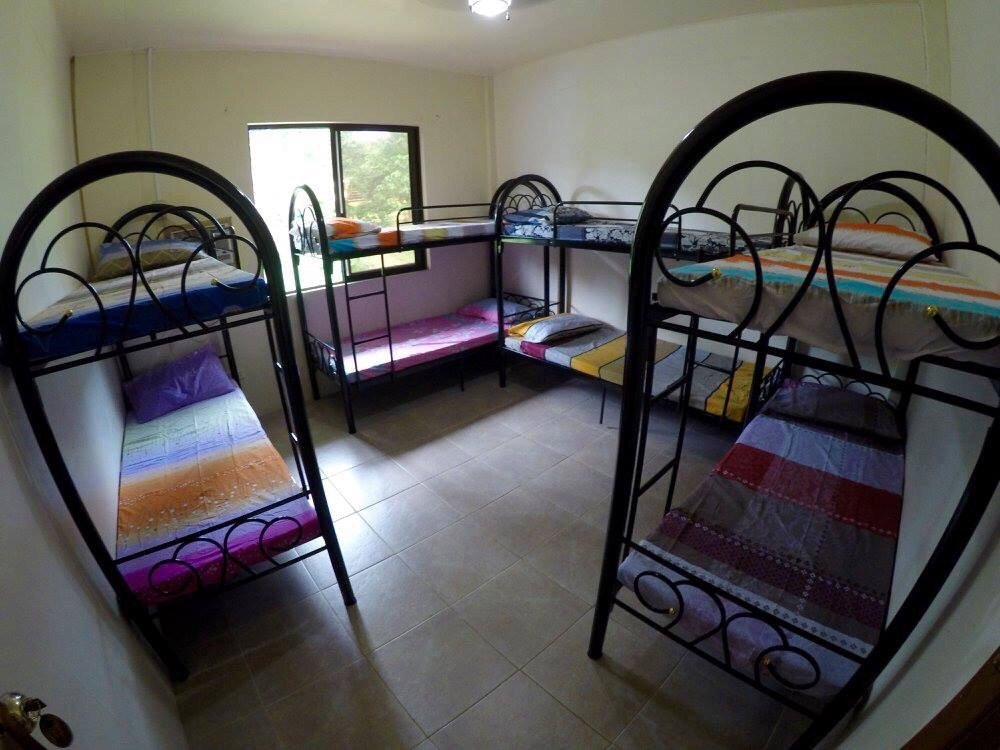 Fat Monkey Hostel by null