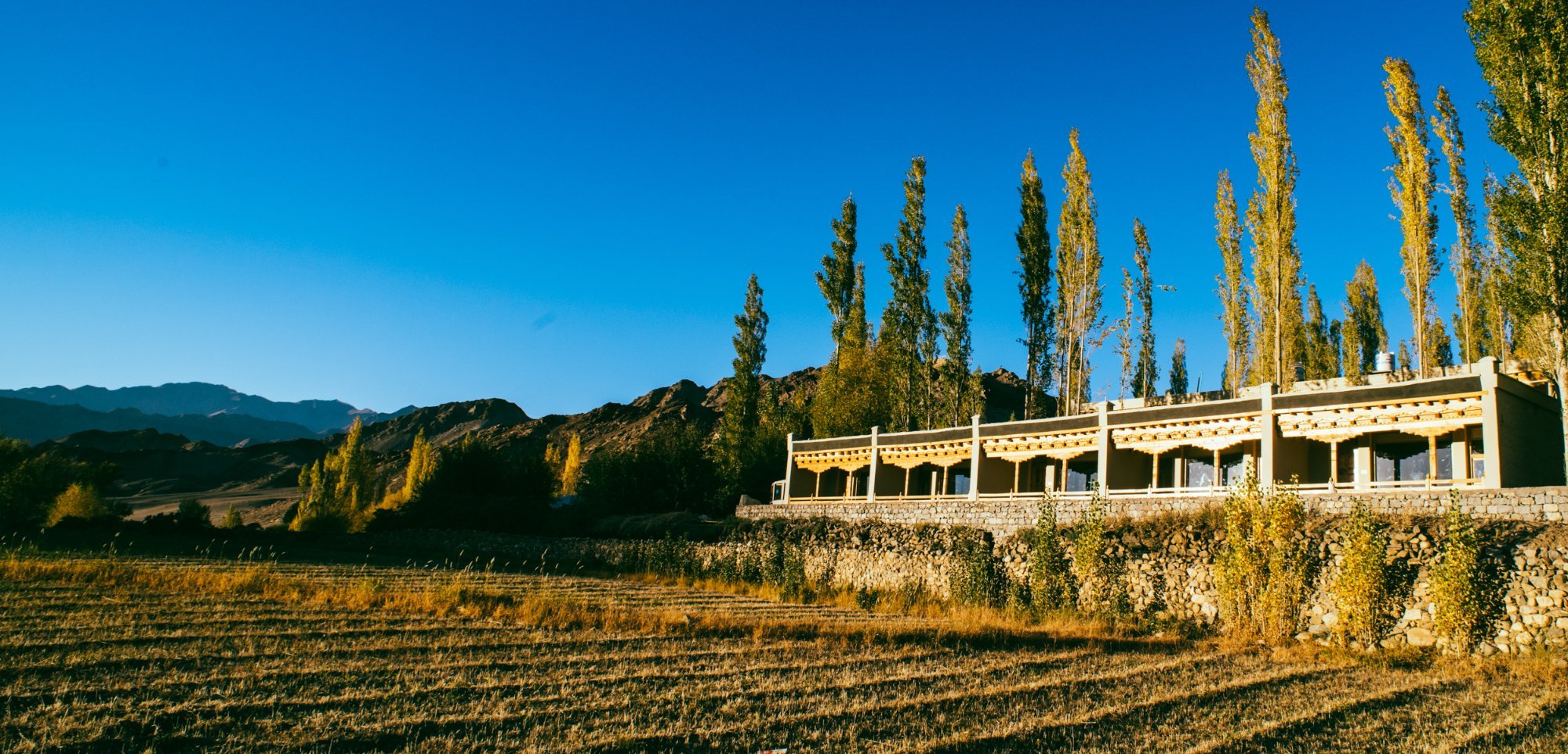 ladakh sarai