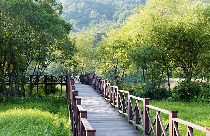 Gwangjuho Lake Eco Park image