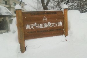 旅行者の写真