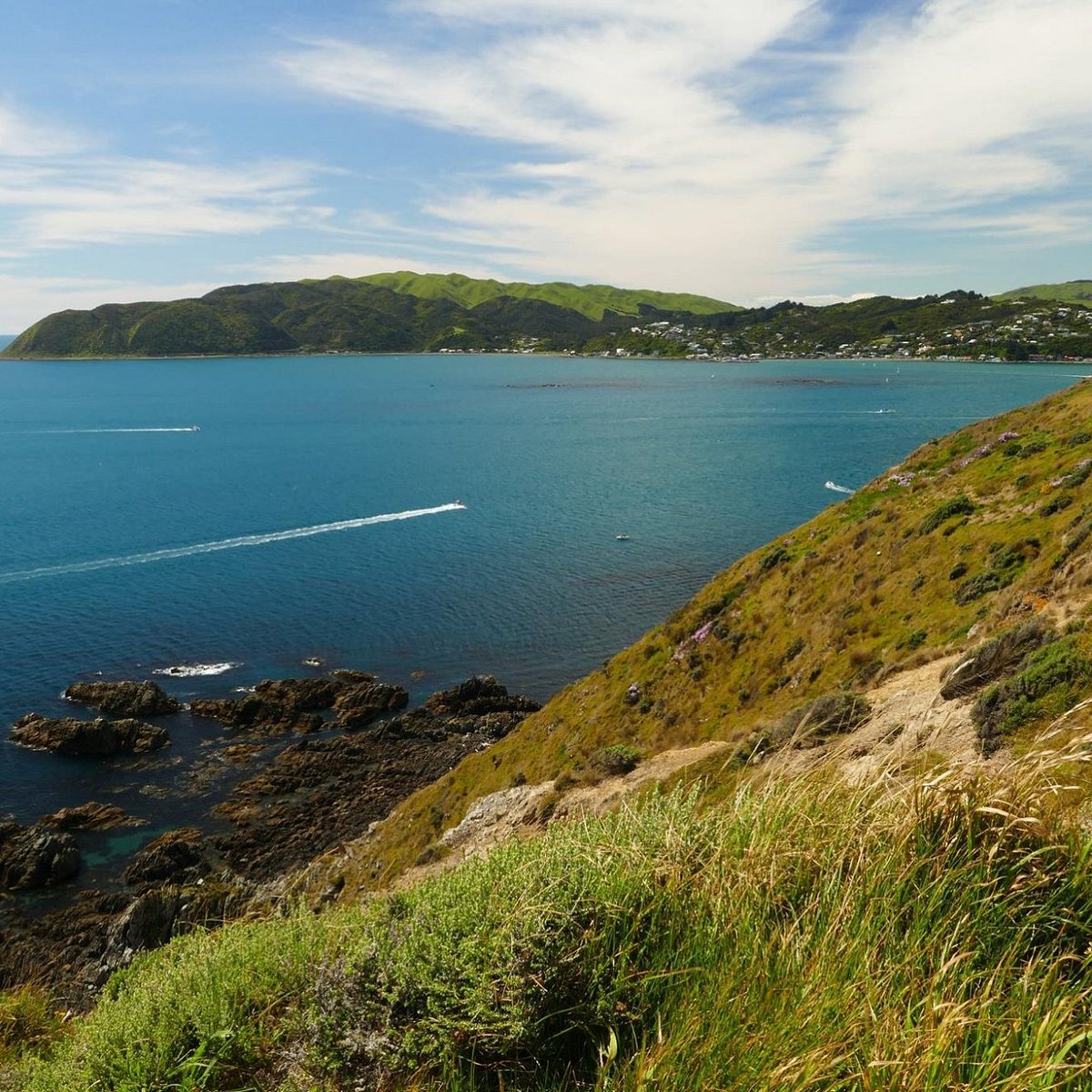 Welcome Porirua City