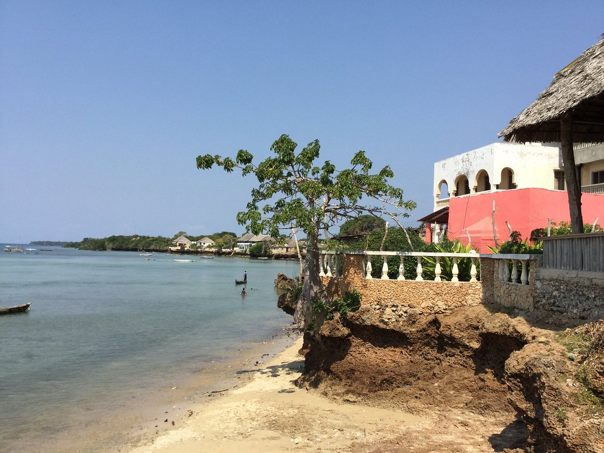 Wasini Island - All You Need to Know BEFORE You Go (with Photos)