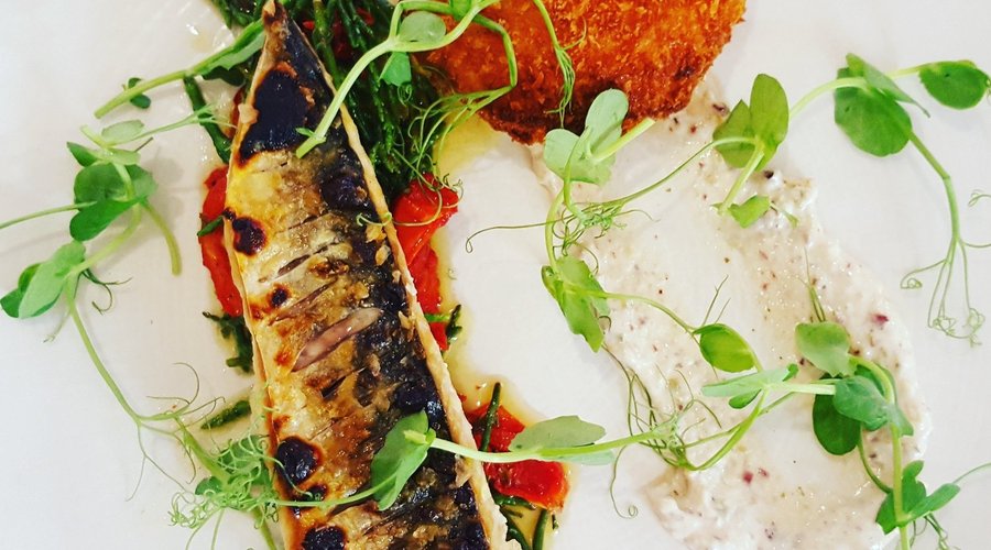 Pan-fried Mackerel Dill Potato Cake Samphire Aioli