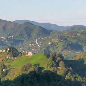 Parpalia Konaklama