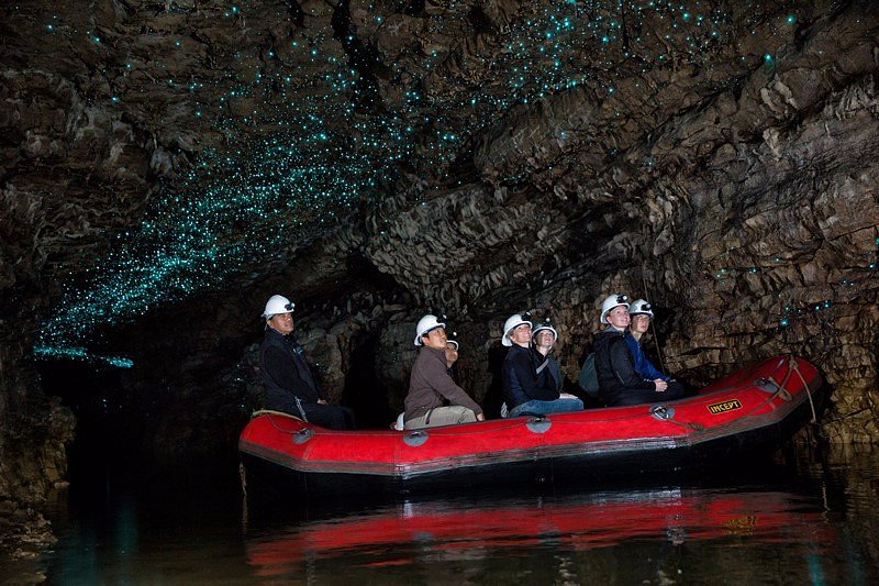 spellbound glowworm and cave tours