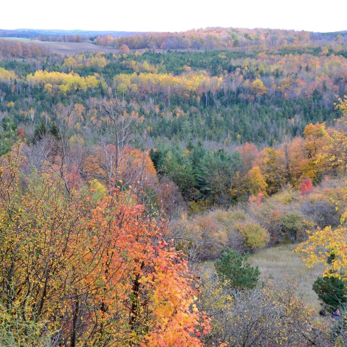 Boyne Valley Provincial Park - All You Need to Know BEFORE You Go (2024)