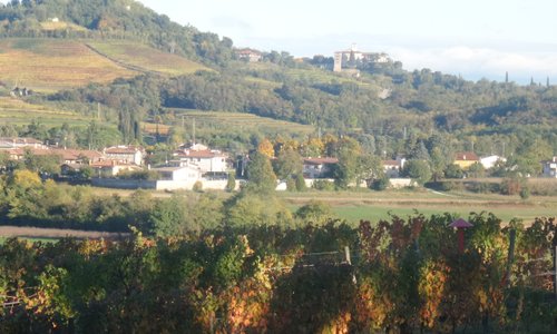 Nadalutti