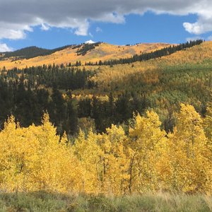 High Creek Fen Preserve  The Nature Conservancy in Colorado