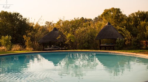 Monateng experience - Review of Monateng Safari Lodge, Pretoria, South ...