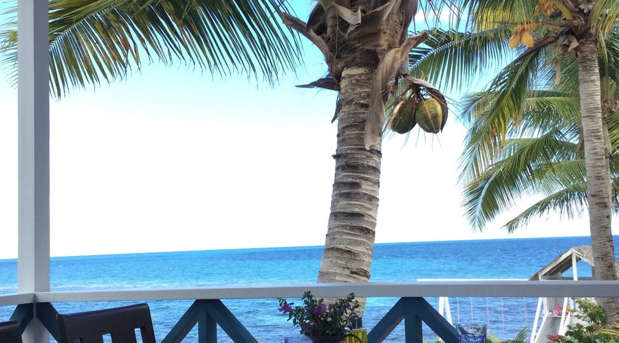 Lunch View