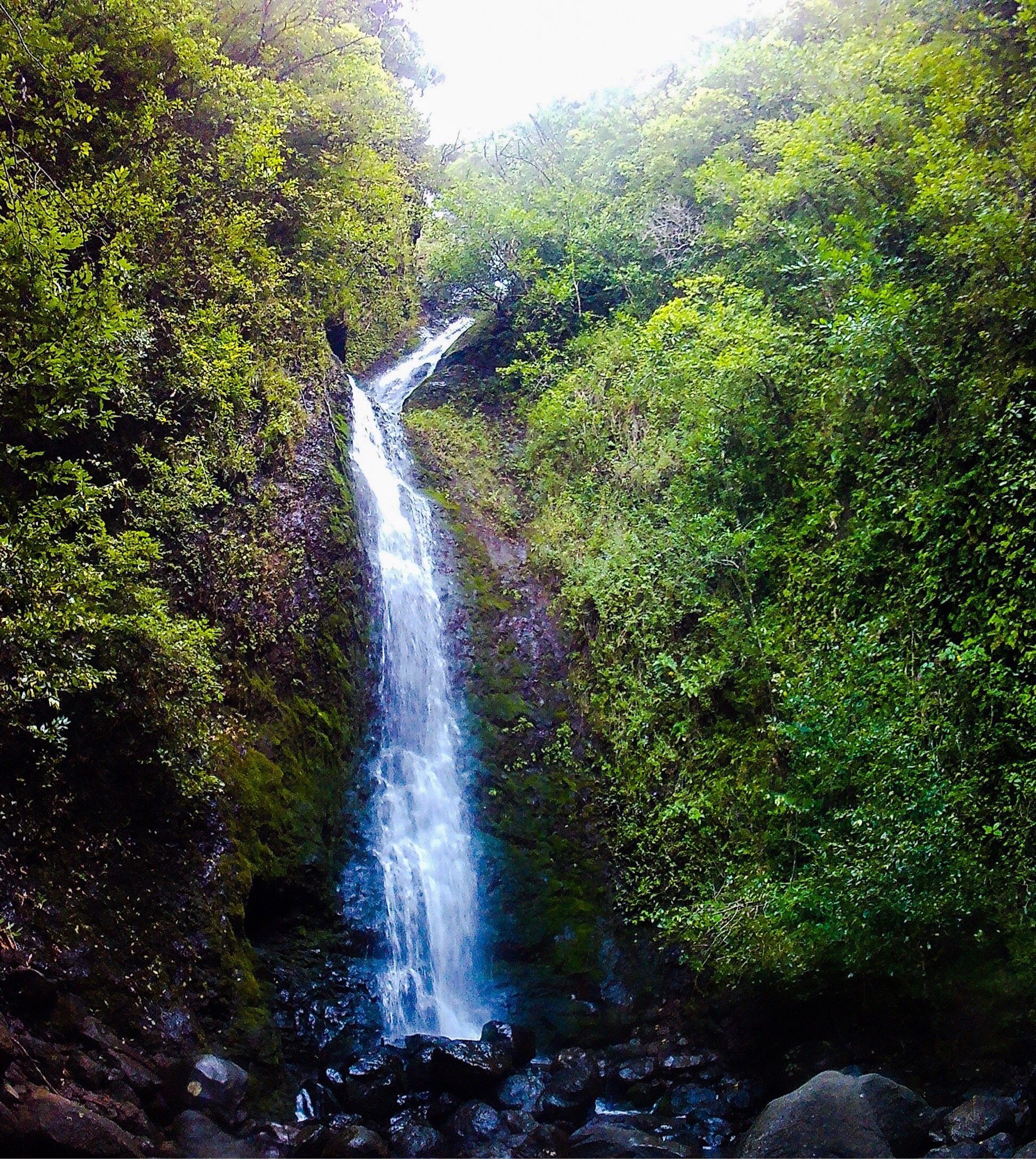 未使用・未開封品)Waterfalls of Hawaii [DVD]