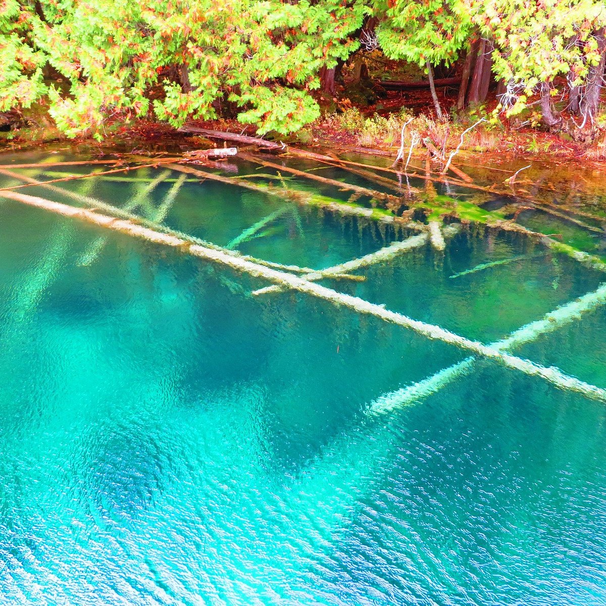 Kitch-Iti-Kipi (The Big Spring) - All You Need to Know BEFORE You