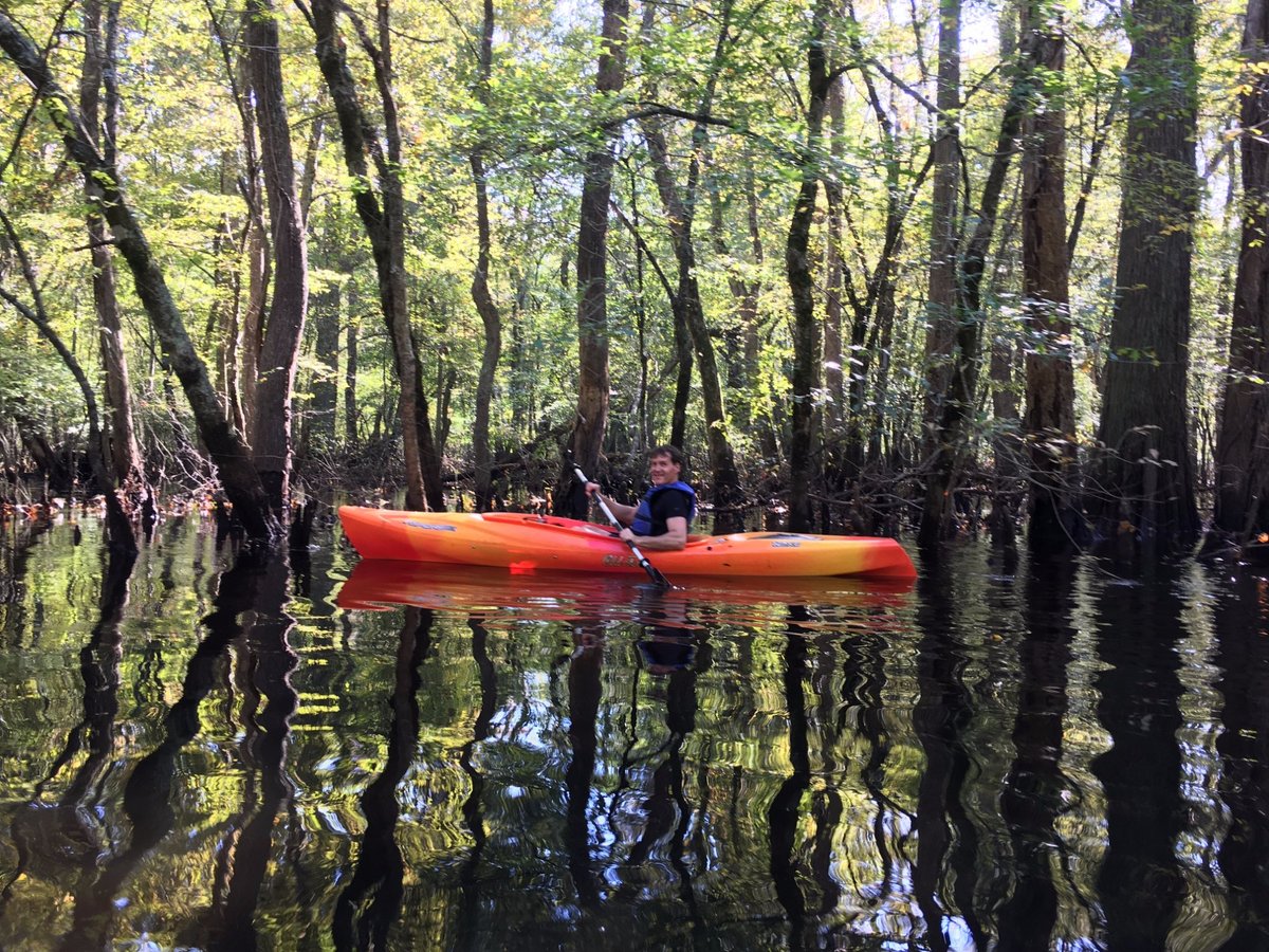 POCOMOKE RIVER CANOE COMPANY (Snow Hill) - 2023 Qué saber antes de ir ...