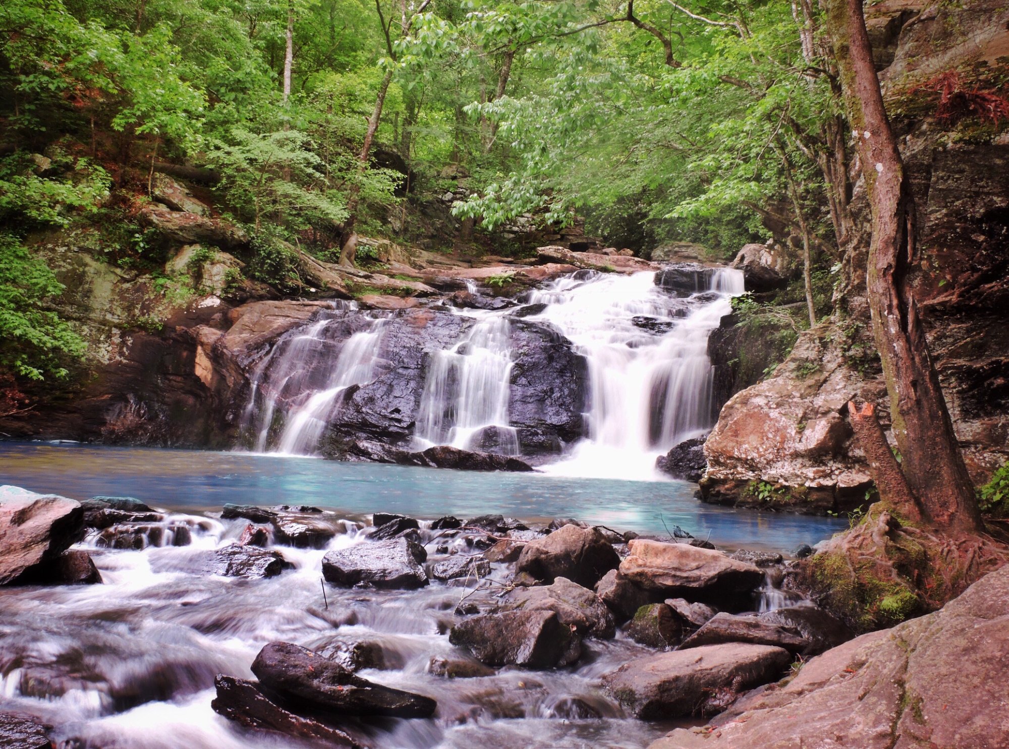 Cochran mill mountain online bike trails