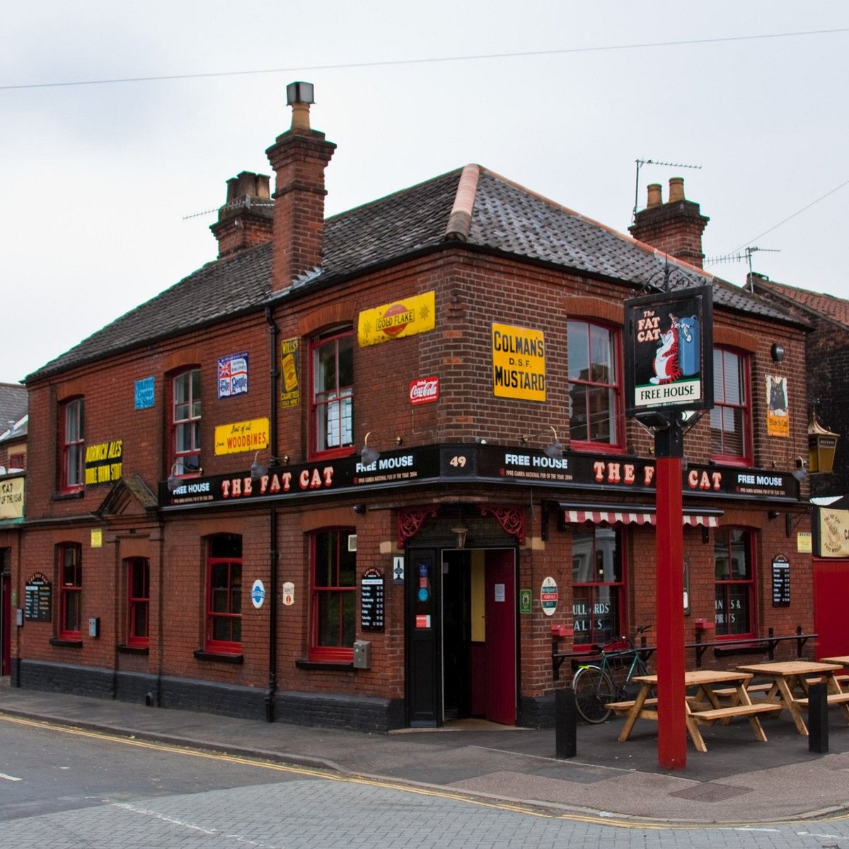 Cat pub