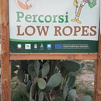 Percorsi Low Ropes