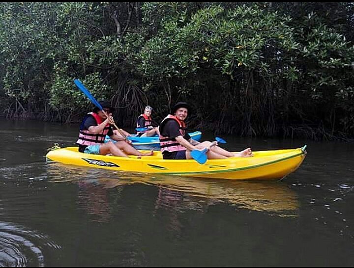 Mangrove Kayaking image