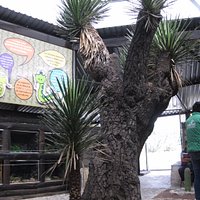 Herpatario